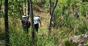 Motorcar And Boulder Creek Full Day Tour