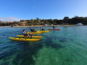 Sorrento Waterbike Tour | Sorrento to Portsea Return