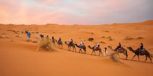 7 Days Moroccan Desert Adventure: River Canyons & Camels | G Adventures