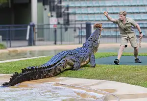 AUSTRALIA ZOO Transfer including Entry Ticket | Sunshine Coast