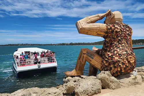Giant & Dolphin sightseeing cruise