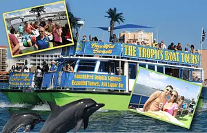 Dolphin Watching Tour in Clearwater Beach