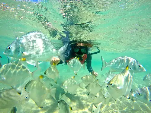 Gold Coast tours