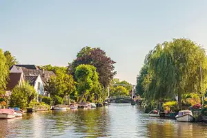 Afternoon high tea cruise on Vecht River from Amsterdam - Group of 2 people (price per group)