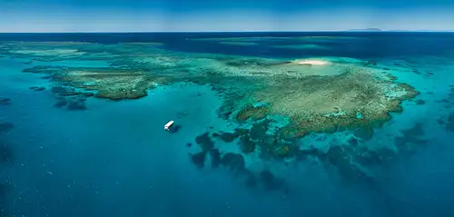 Great Barrier Reef half day snorkelling tour