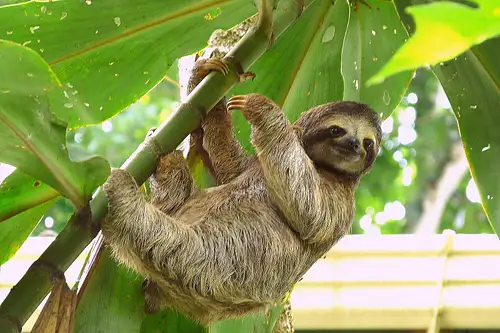 12 Day Costa Rica Classic San Jose Tour | One Life Adventures