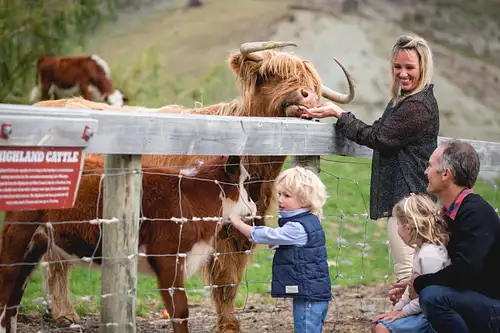 Walter Peak Farm Tour on Lake Whakatipu in Queenstown