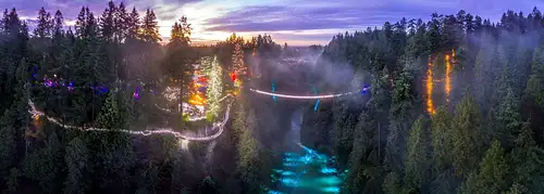 Vancouver and Capilano Canyon Lights Christmas Guided Tour