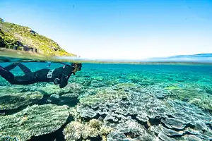 Great Keppel Island Day Trip + Lunch