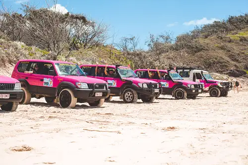 Pink 4WD