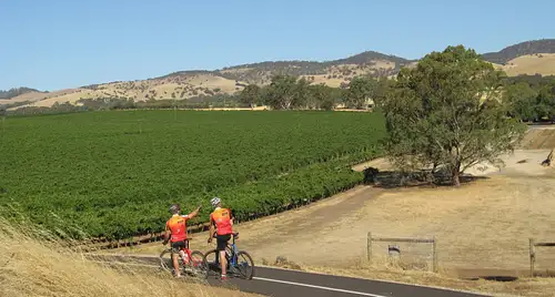 Cycling tour deal