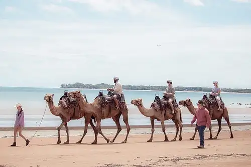Mindil Beach Day Beach Camel Ride