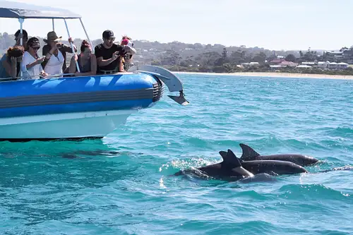 Souther Ocean Adventure Cruise