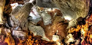 Cutta Cutta Caves Guided Tour