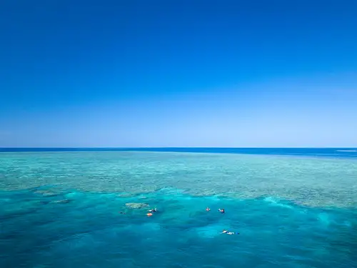 SeaQuest Day Trip | Snorkel & Dive Options