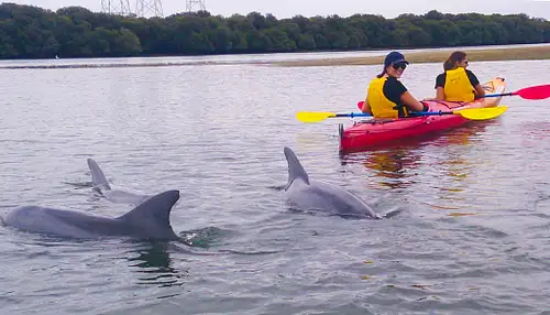 Adelaide Dolphin Sanctuary
