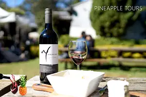 Tamborine Mountain - Boutique Winery Tour with Gourmet Lunch – From Gold Coast