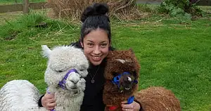 Hamilton Alpaca Experience